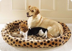 leapord dog and puppy bed